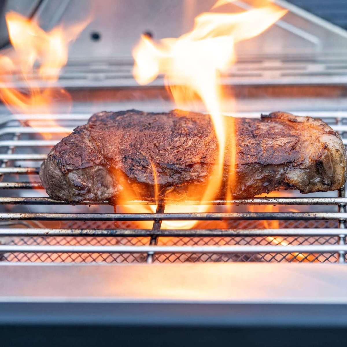 24367 | Stainless Infrared Propane Gas Grill