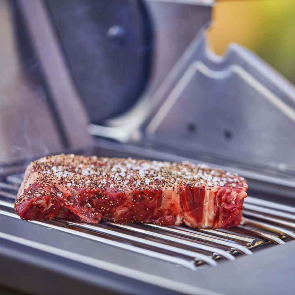 Monument Grills Denali 605Pro | Stainless Smart Propane Gas Grill